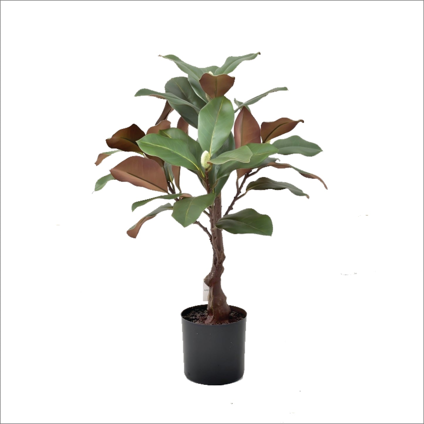 Premium Artificial Magnolia Tree with Buds 24"