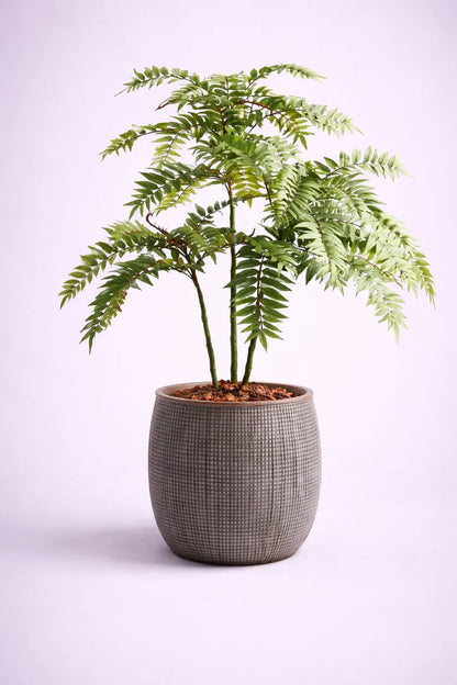 Norway Fiber Planters Premium FRP