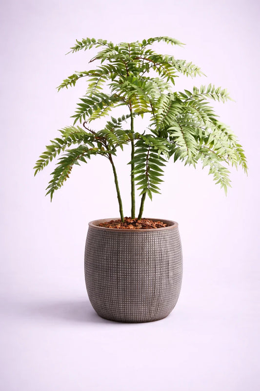 Norway Fiber Planters Premium FRP