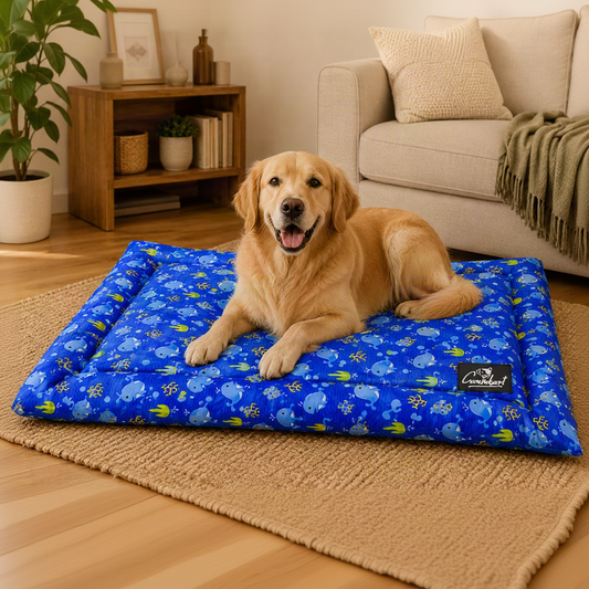 Premium Printed Dog Mat Blue Ocean