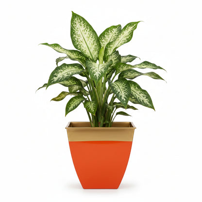 Multicolor Tapered Planter