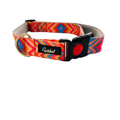 Premium Printed Dog Collar Orange