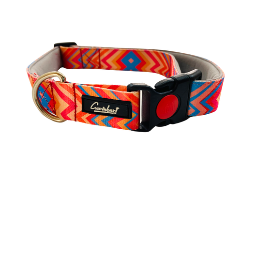 Premium Printed Dog Collar Orange