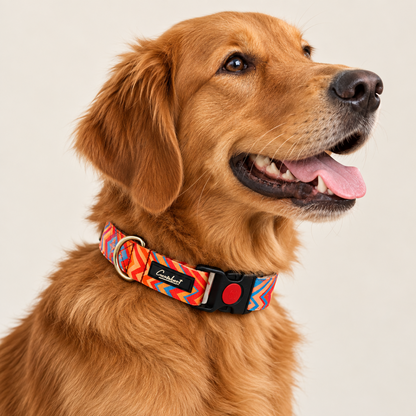 Premium Printed Dog Collar Orange