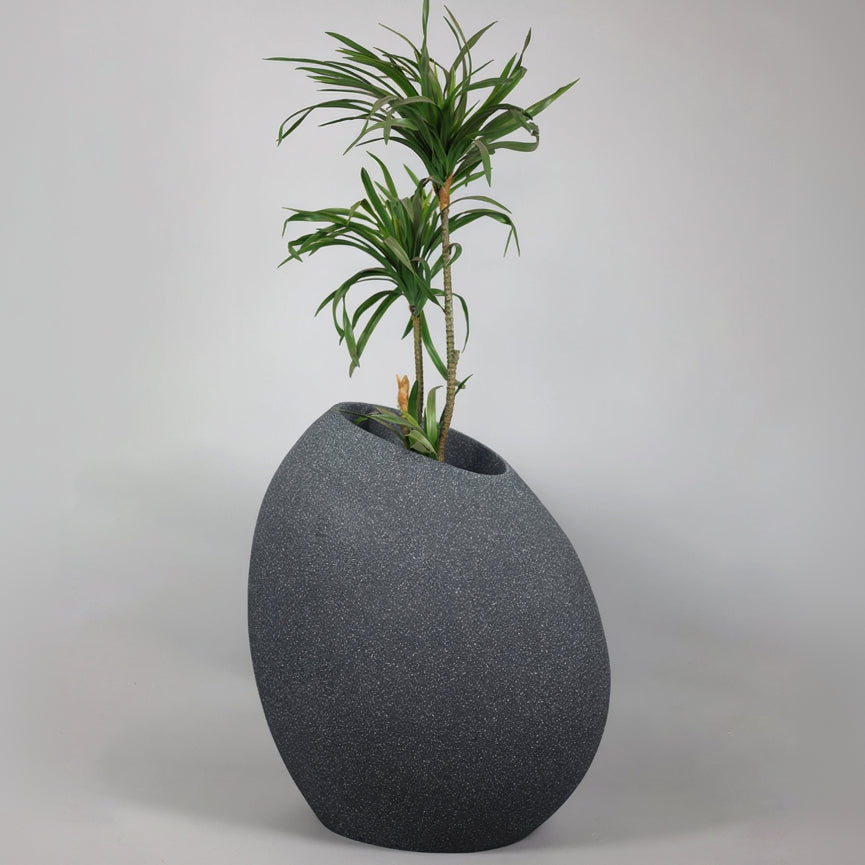 Gray textured planter with a green plant on a light gray background