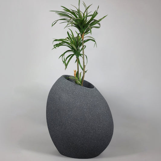 Gray textured planter with a green plant on a light gray background