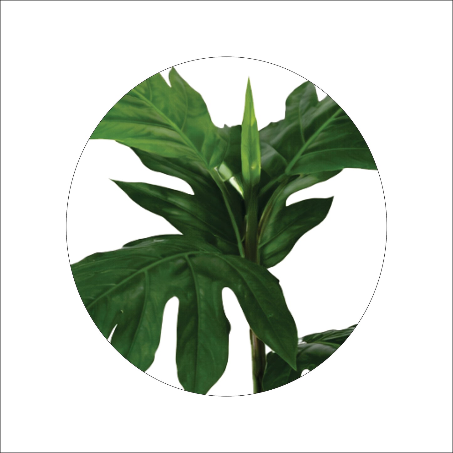 Premium Artificial Philodendron Plant