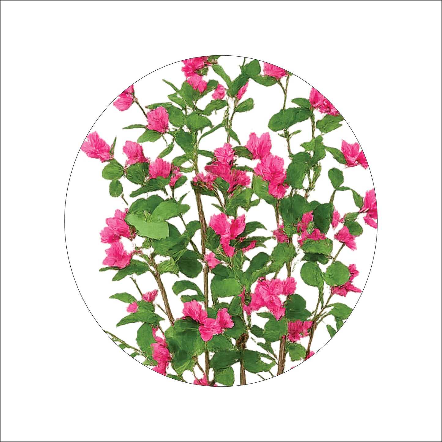 Premium Artificial Pink Bougainvillea Tree 59"