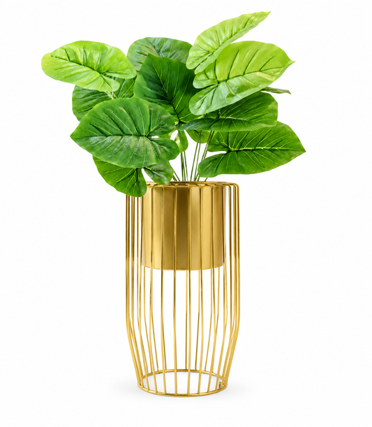 Elegant cylindrical wire-framed metal plante