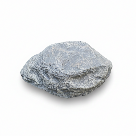 Shell Rock for Landscaping – Natural Decorative Rock for Garden And Outdoor Spaces