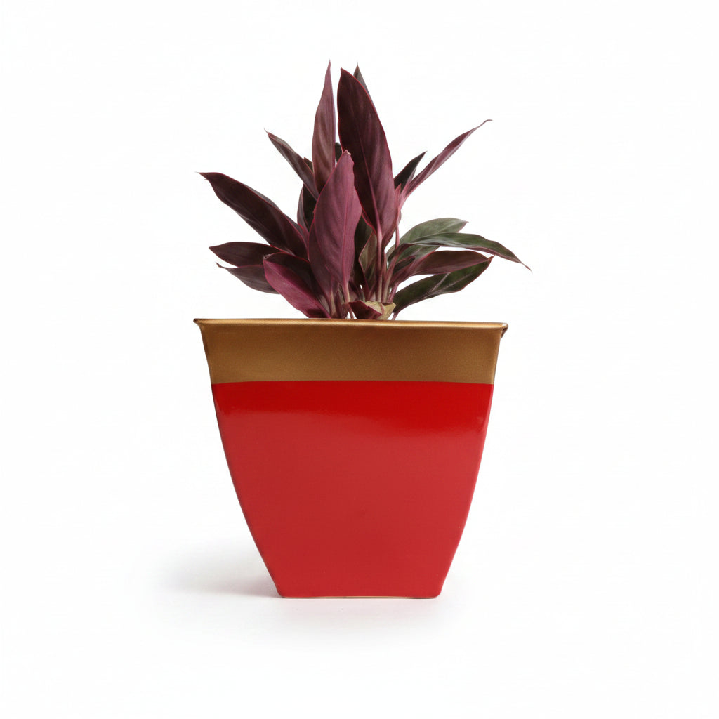 Multicolor Tapered Planter