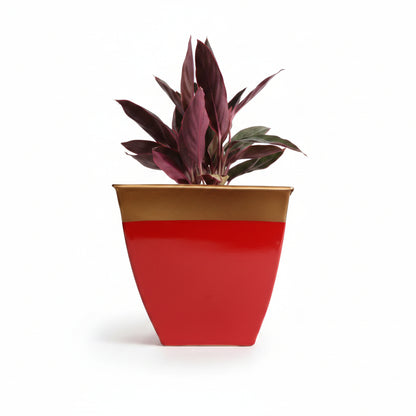 Multicolor Tapered Planter