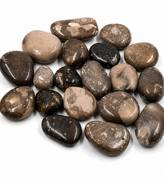 Assorted brown and black stones on a white background