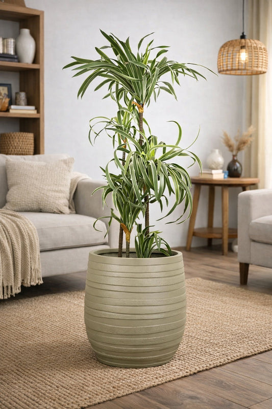 Cone Matt Fiberglass Planter