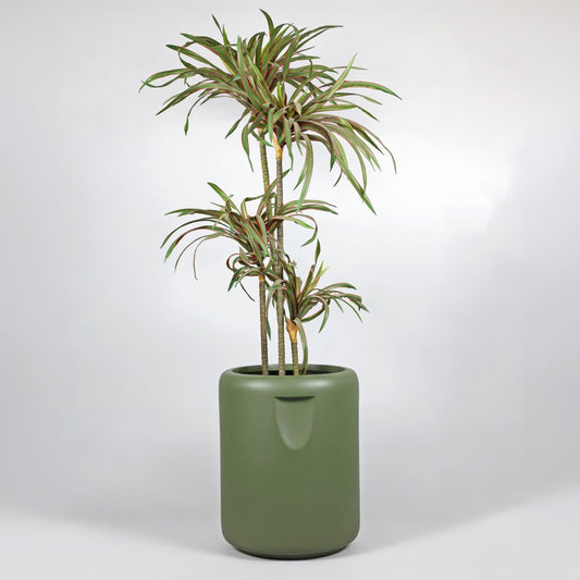 Green potted plant in a matching green pot on a white background