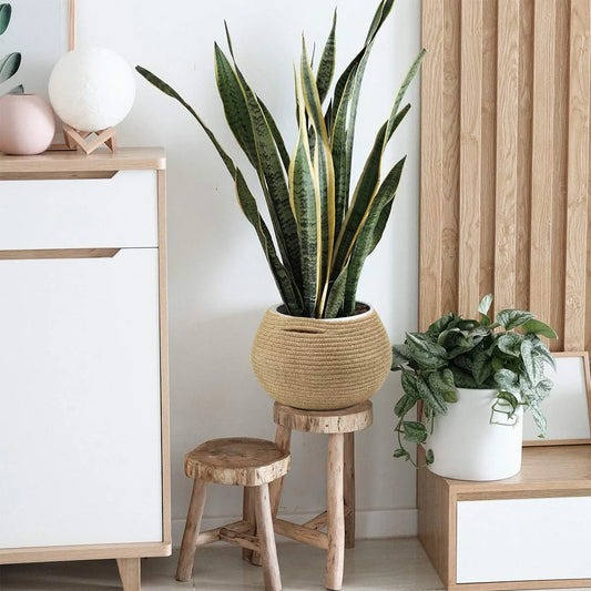 Handcrafted Round Jute Planter Basket