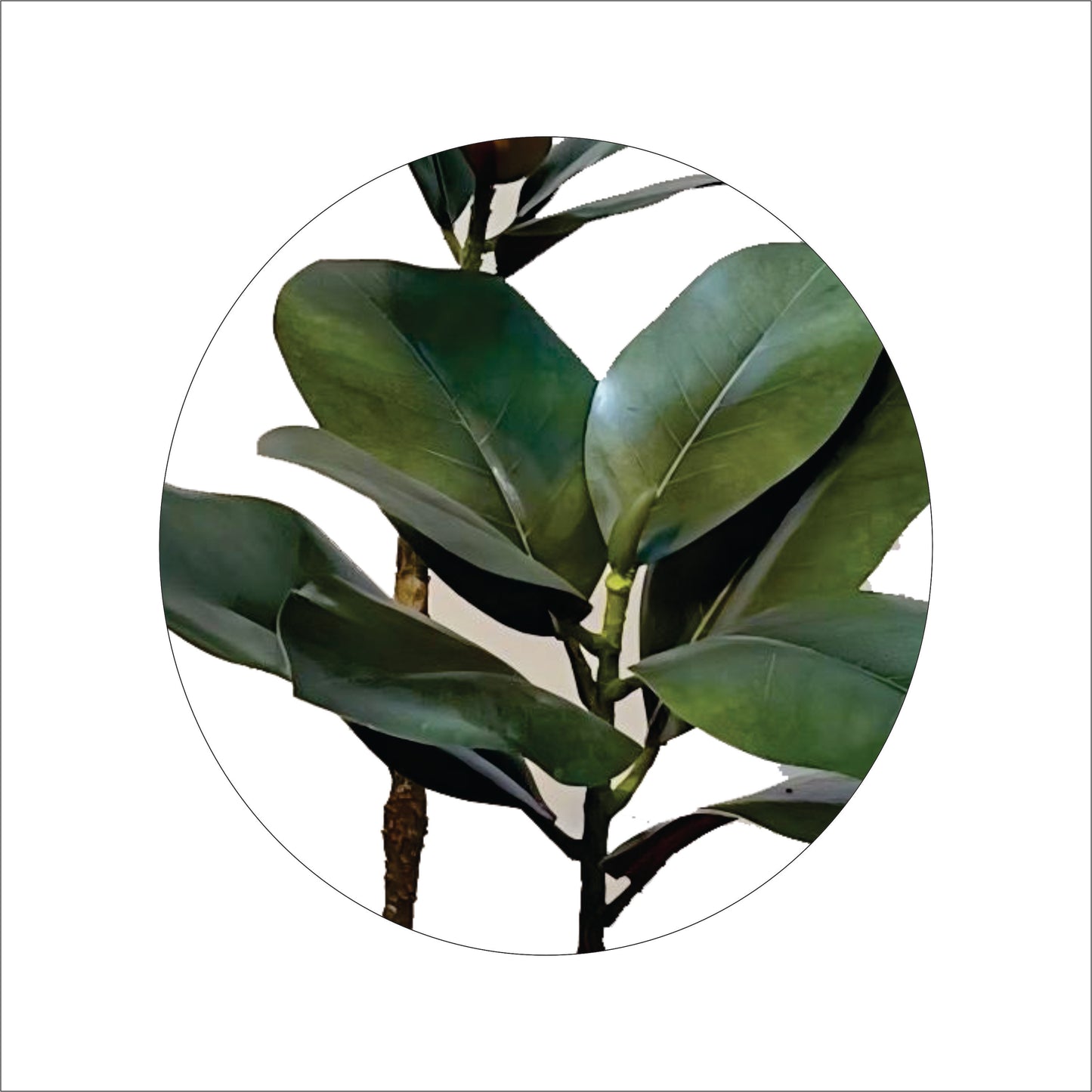 Premium Artificial Rubber Plant Tree 47"