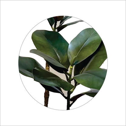 Premium Artificial Rubber Plant Tree 47"