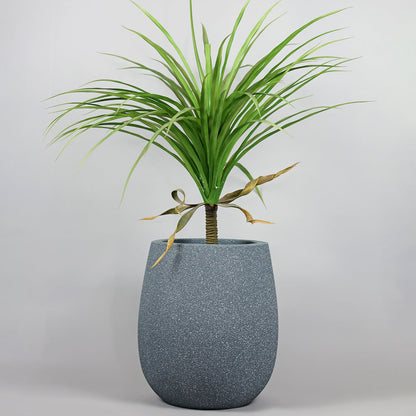 Potted plant with a gray textured pot on a light gray background