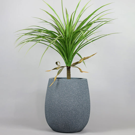 Potted plant with a gray textured pot on a light gray background