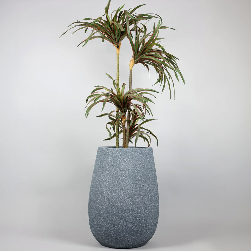 Tall gray textured planter with a green plant on a light gray background