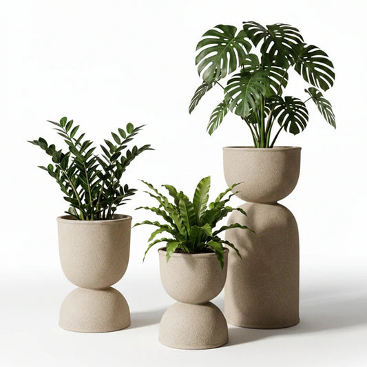 Three potted plants in beige ceramic pots on a white background