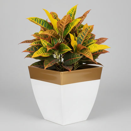 Multicolor Tapered Planter
