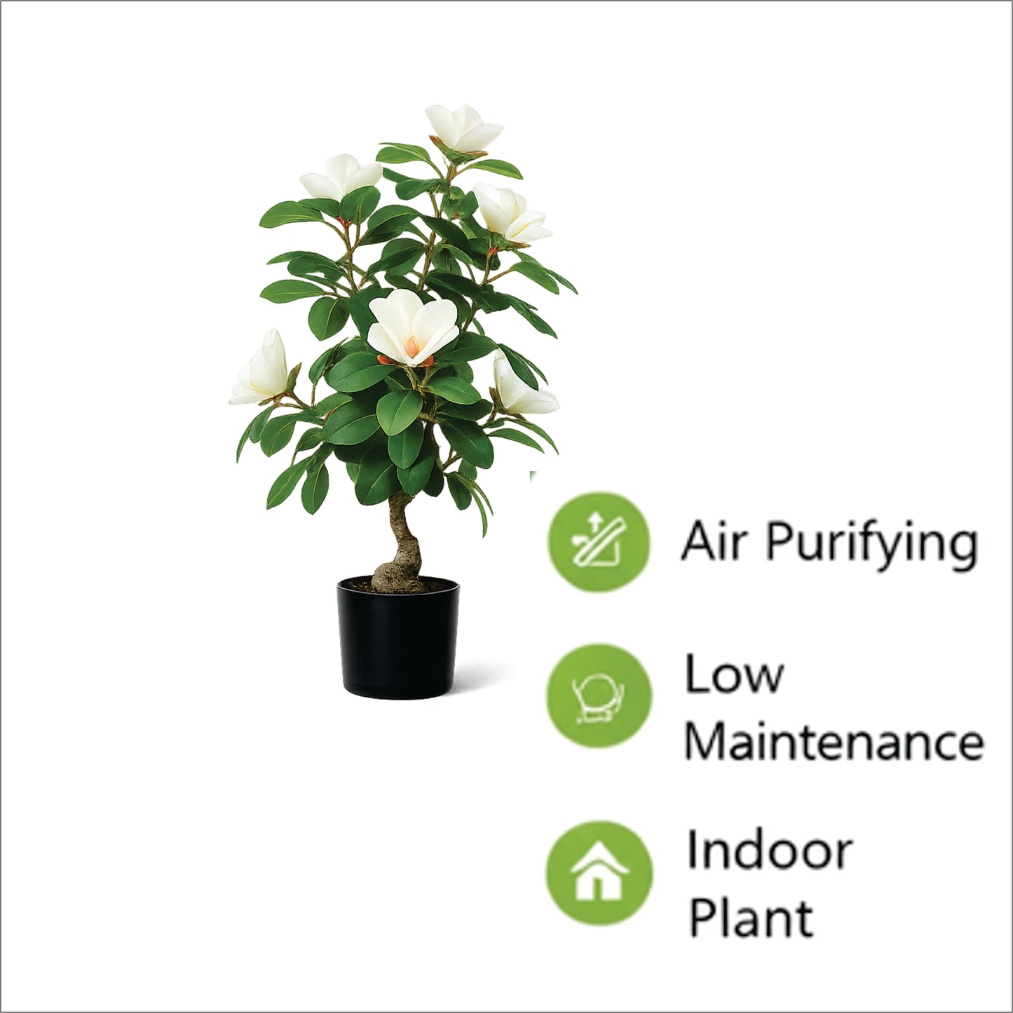 Premium Artificial White Camellia Blossom Bonsai 24"