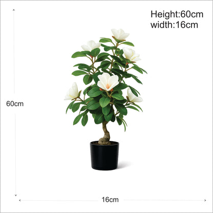 Premium Artificial White Camellia Blossom Bonsai 24"