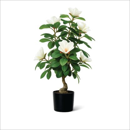 Premium Artificial White Camellia Blossom Bonsai 24"