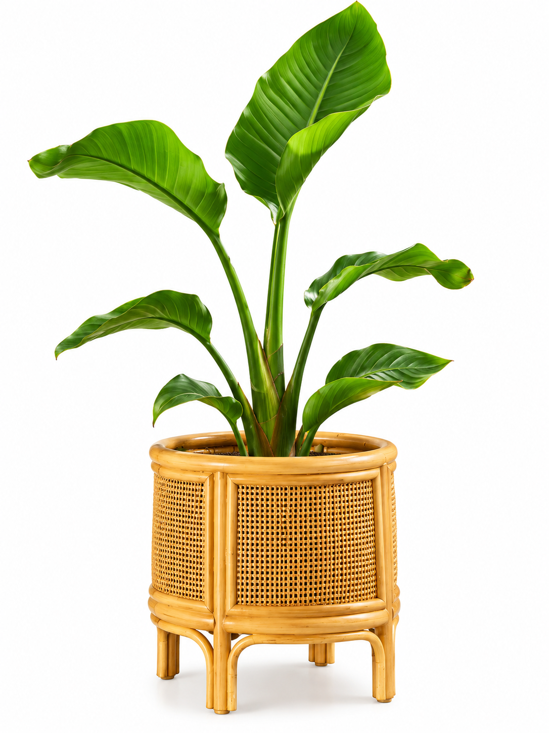 Planters-Bamboo & Rattan