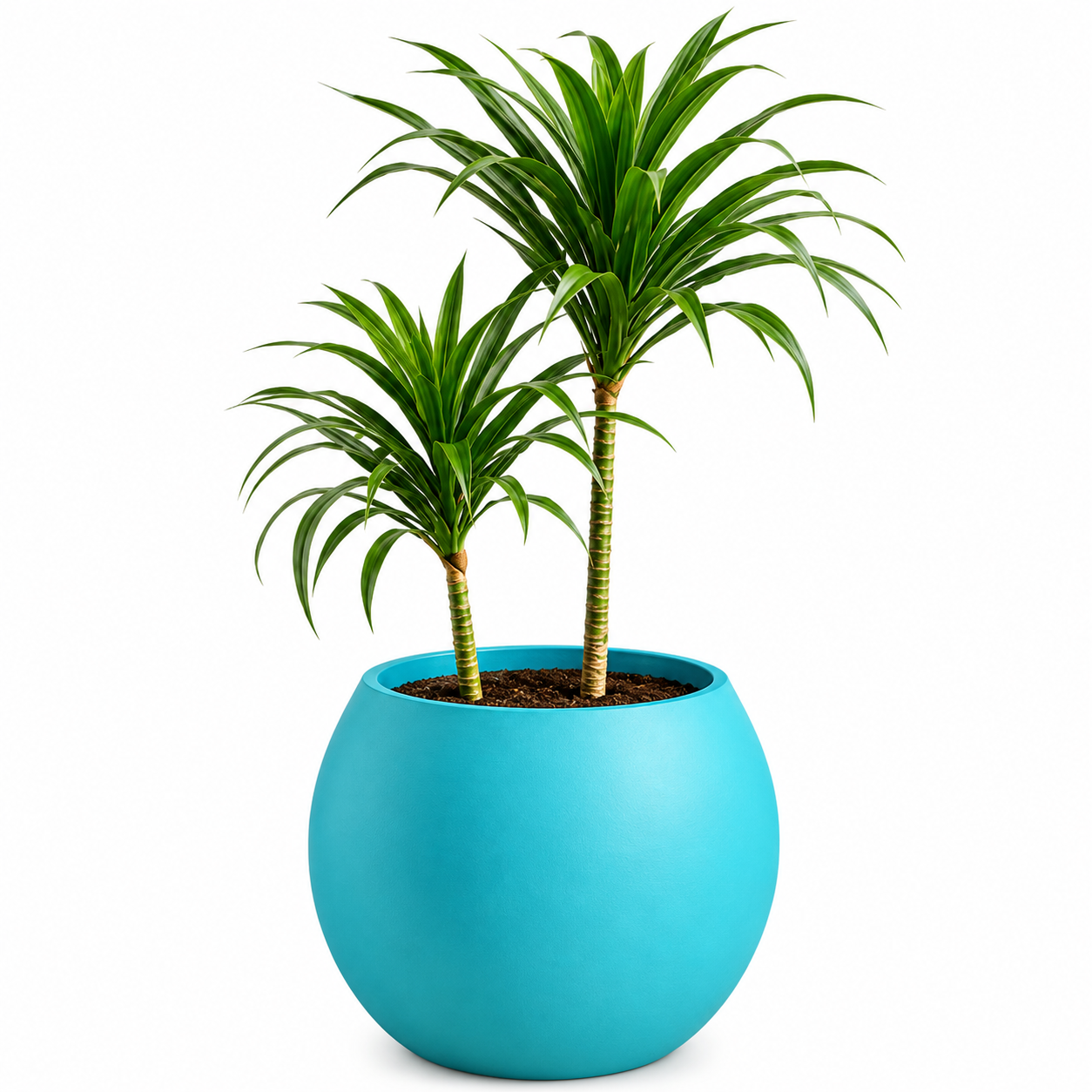 Planters-FRP