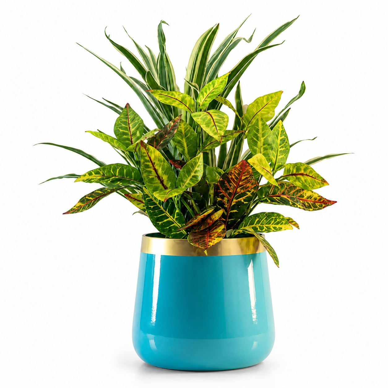 Metal Rust Resistant Pot