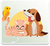 Pet