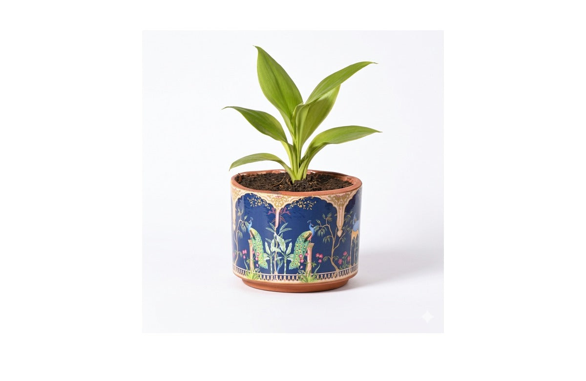 DHARA Round FRP Planter – Elegant, Durable Design for Any Space