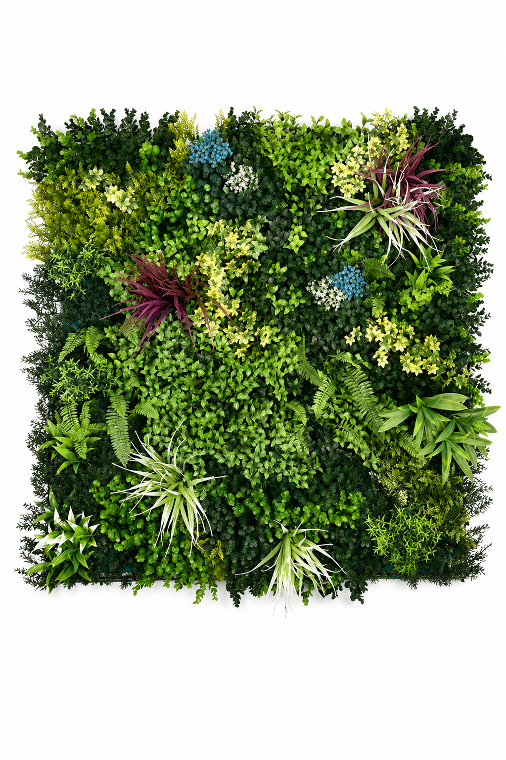 Vertical Garden
