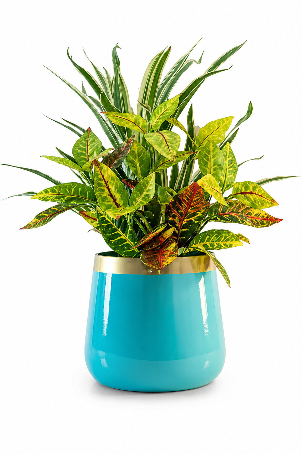 Metal Rust Resistant Pot